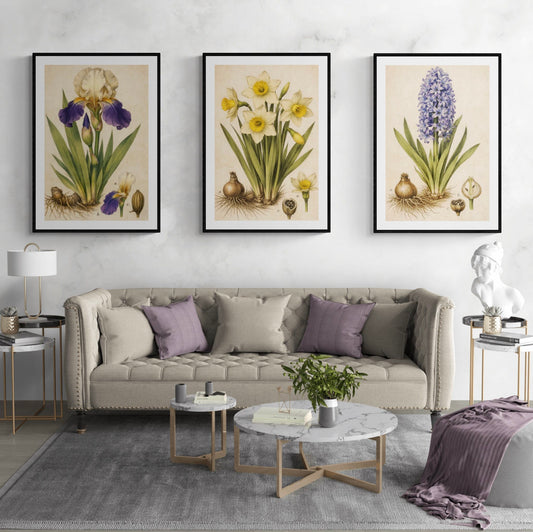 The Florilegium Collection Panel iII - Hyacinth Botanical Study - Spring Held in Silence