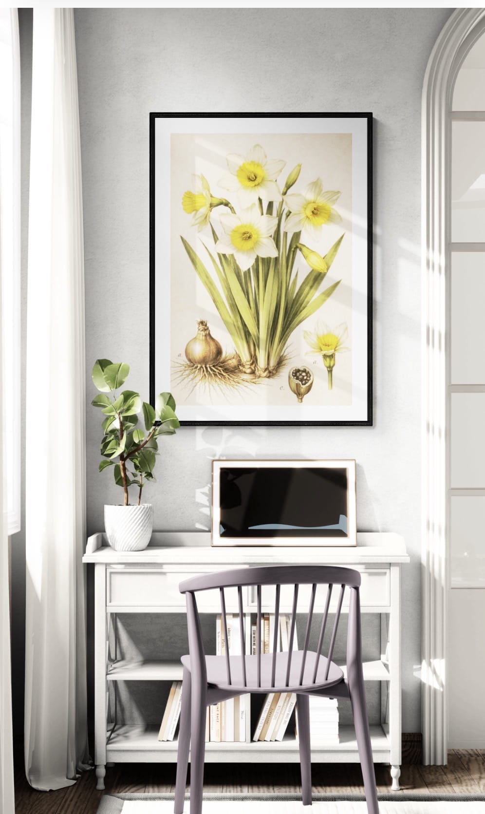 Panel I - Florilegium Collection - The First Bloom (Study of Iris germanica)