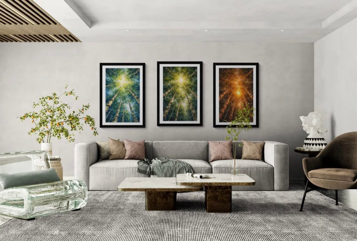 The Cathedral Canopy Collection