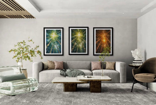 The Cathedral Canopy Collection