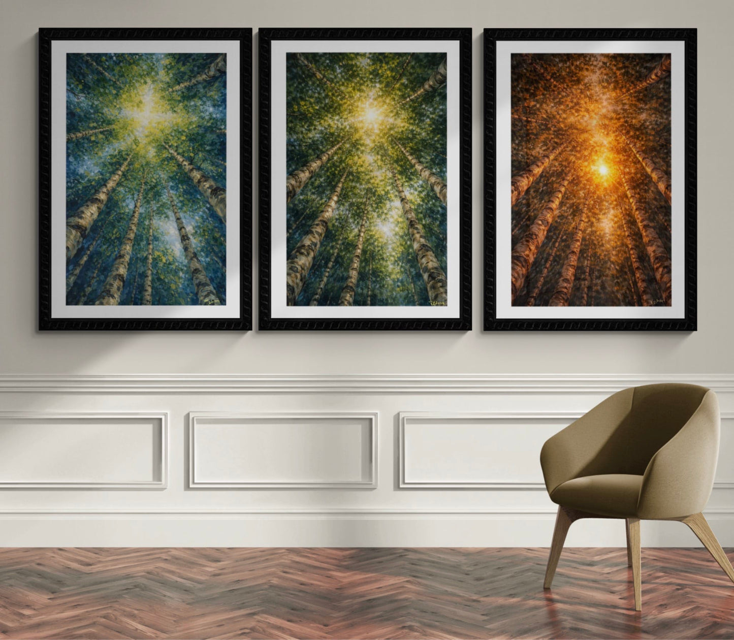 The Cathedral Canopy Collection