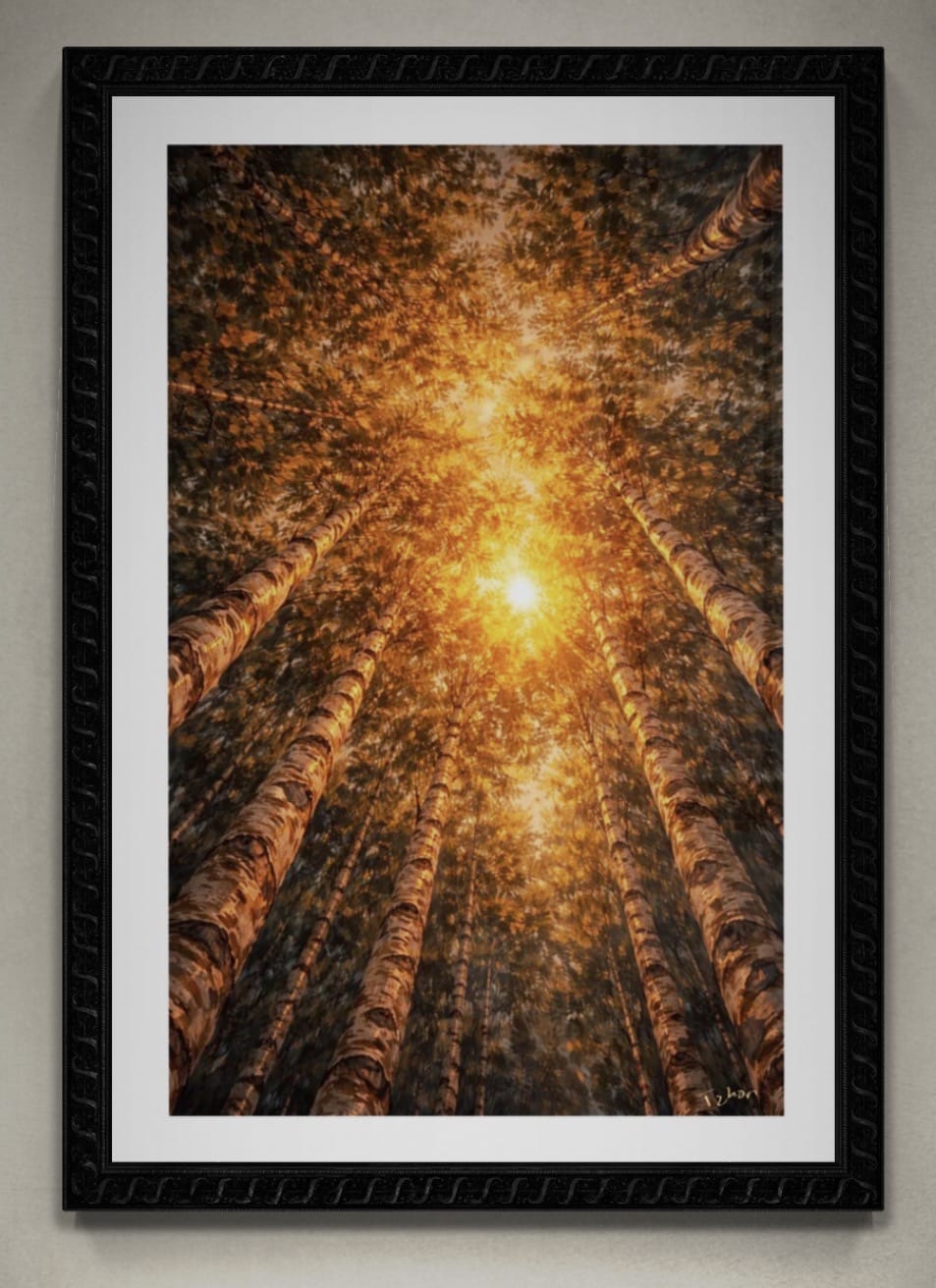 The Cathedral Canopy Collection