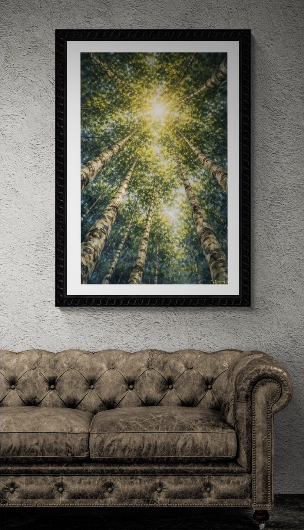 Crowned in Light - Canopy Cycle Collection