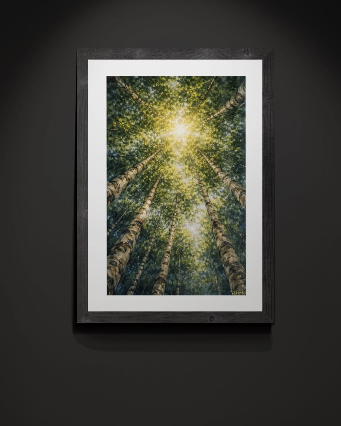 Crowned in Light - Canopy Cycle Collection