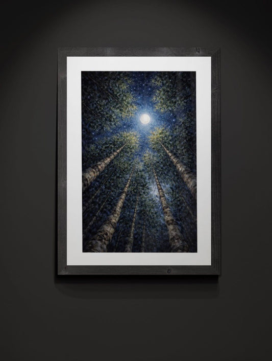Nocturne Beneath the Canopy - Cathedral Canopy Collection
