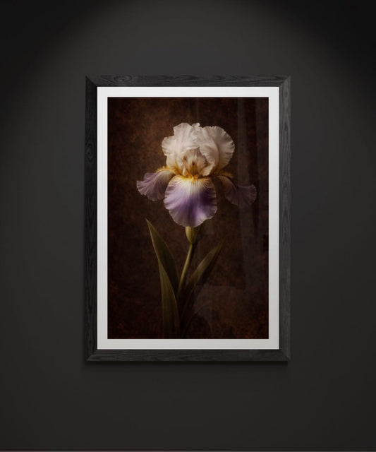 Vesper Sovereign - Vanitas Botanical Collection - Tzhon Atelier