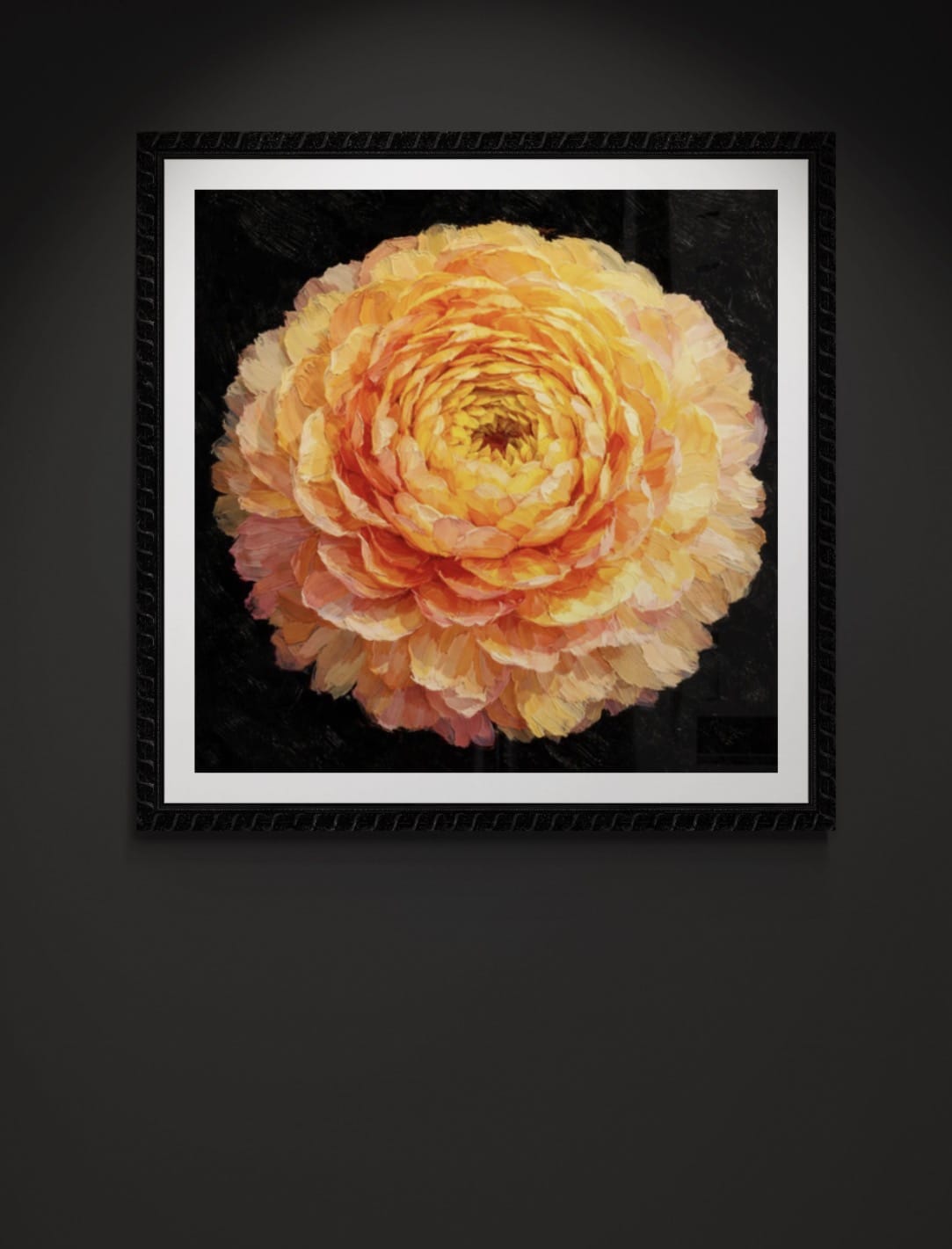 Saffron Radience - Ranunculus - Painter’s Garden Series