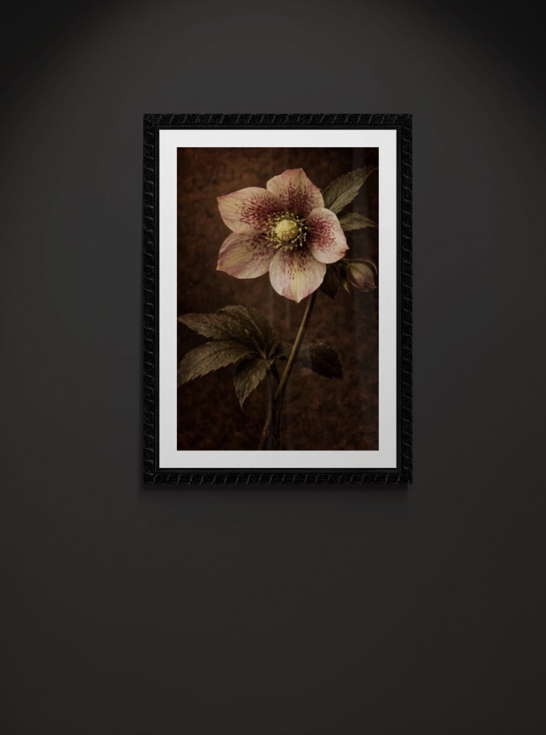 Winter Embers - Tzhon Studio (Open) Edition