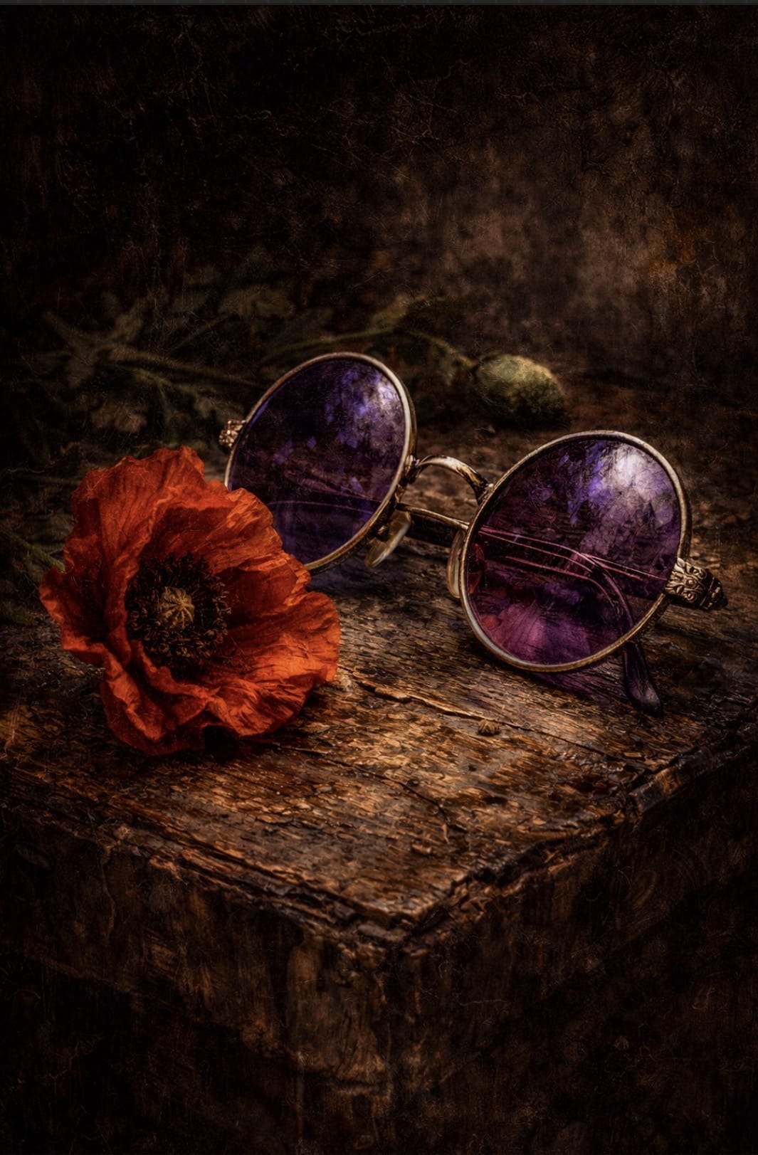 THE TRAGIC FIGURES COLLECTION — Studio Edition