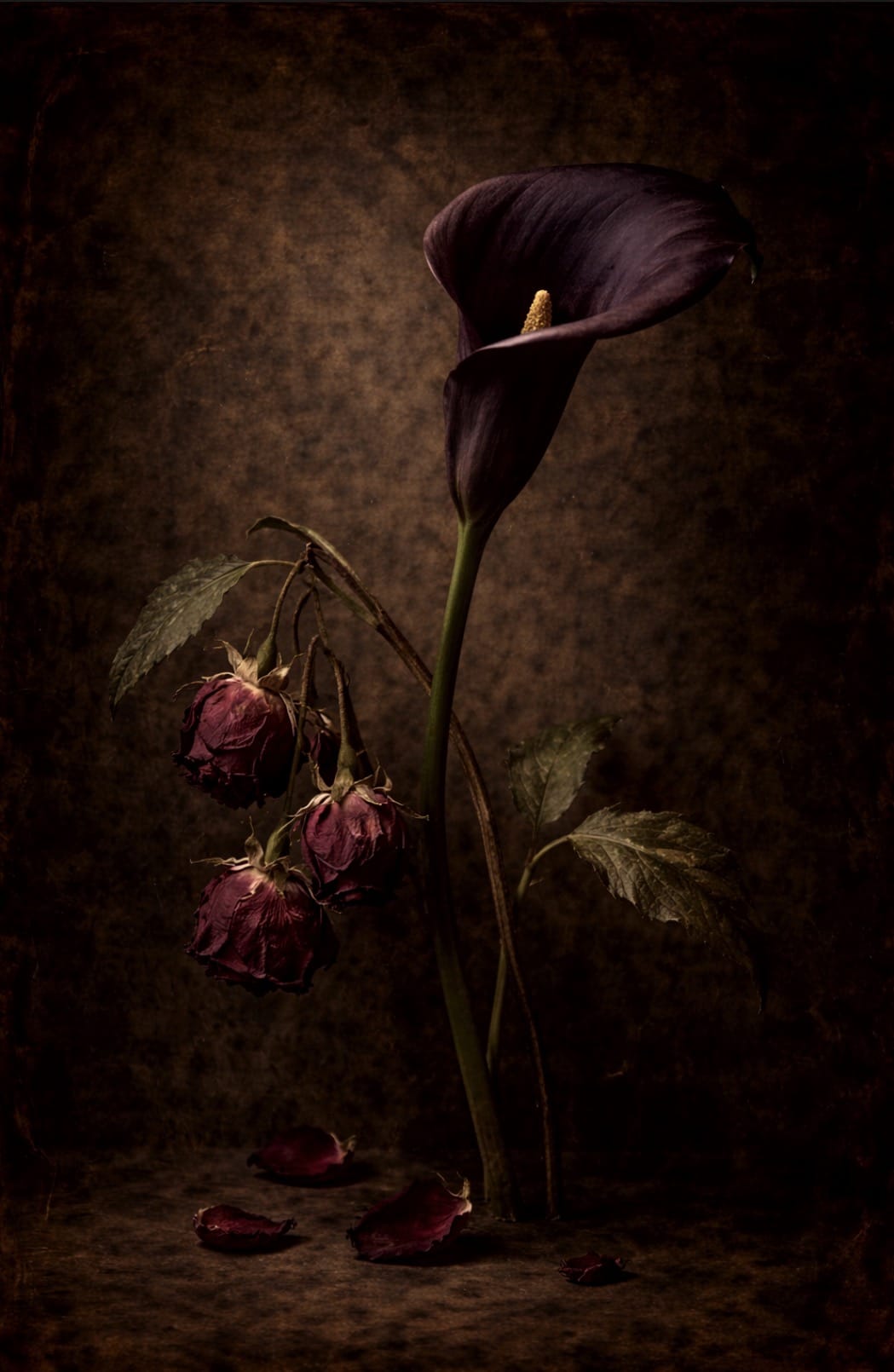 Last Bloom - Tzhon Studio (Open) Edition