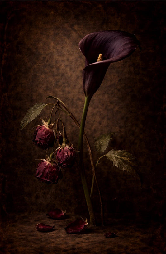 Last Bloom - Tzhon Studio (Open) Edition